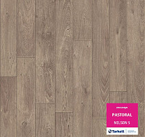 Линолеум Tarkett Pastoral NELSON 5 фото 1 | FLOORDEALER